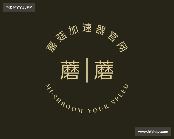 了解蘑菇加速器官网